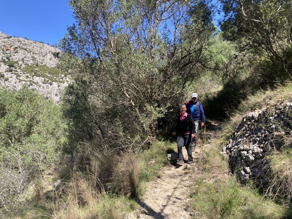 Wandelweek 2022
