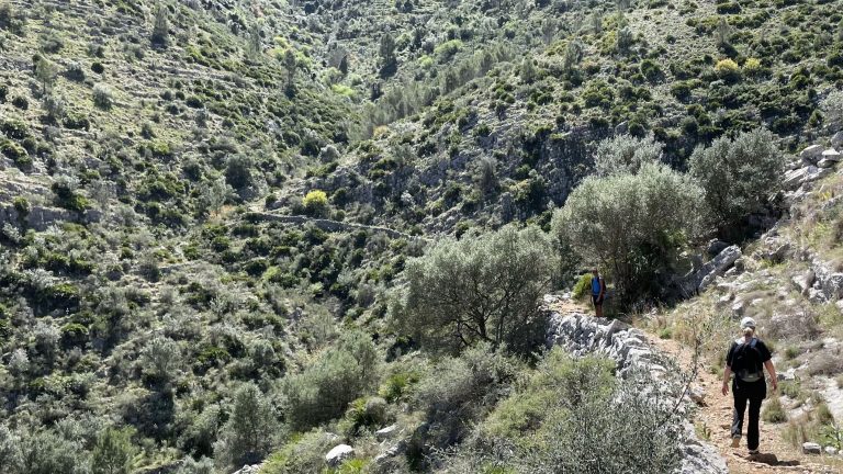 Wandelen en hiken is gezond